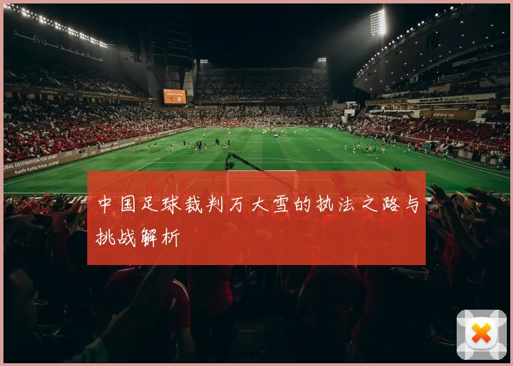 中国足球裁判万大雪的执法之路与挑战解析