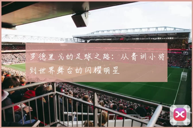 罗德里戈的足球之路：从青训小将到世界舞台的闪耀明星